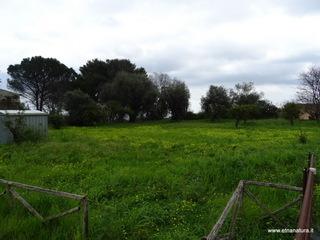rme santa Venera13-03-2017 11-58-30